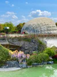上海95%人不知道的寶藏公園捉蟹觀海