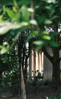 Kew Gardens Bloom Alert: Titan Arum and Monet's Water Lilies