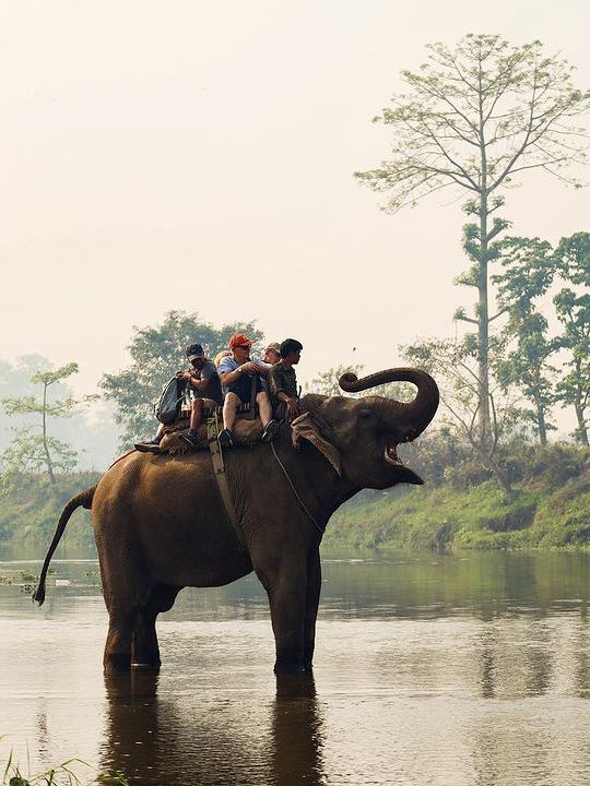 奇特旺叢林穿越看野生動物