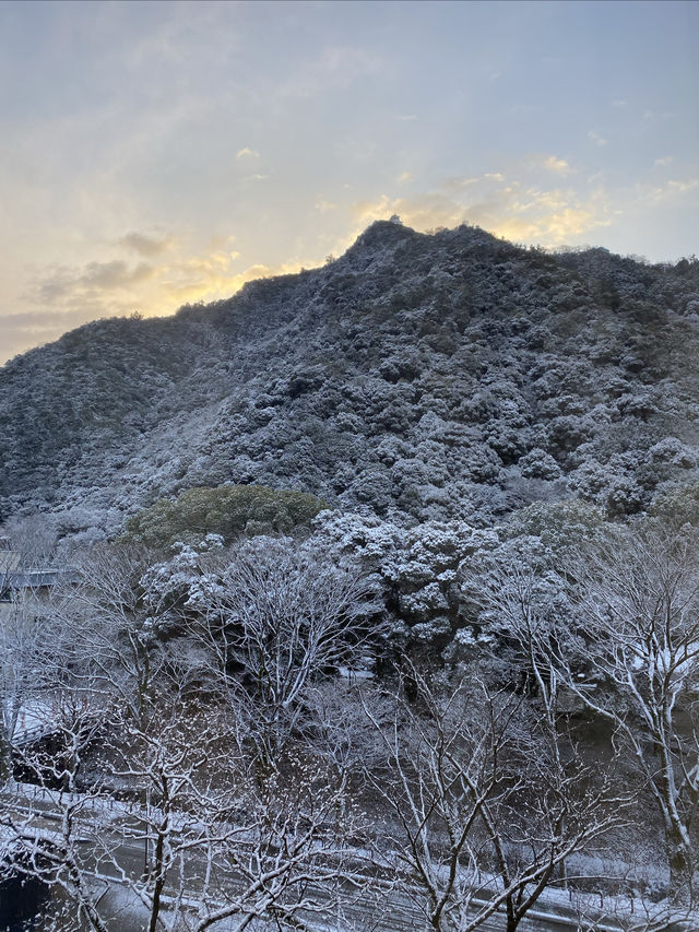 大雪紛飛金華山