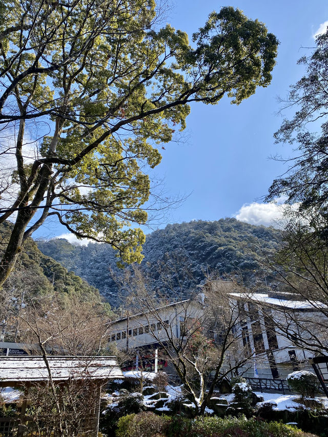 大雪紛飛金華山