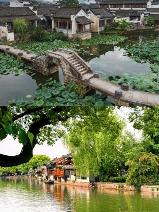This spring, you simply must visit Xitang!