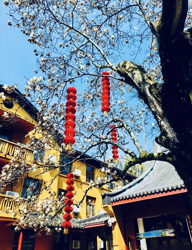 𝐉𝐢𝐍𝐚𝐧濟南｜「這裡是老舍先生筆下的泉城」