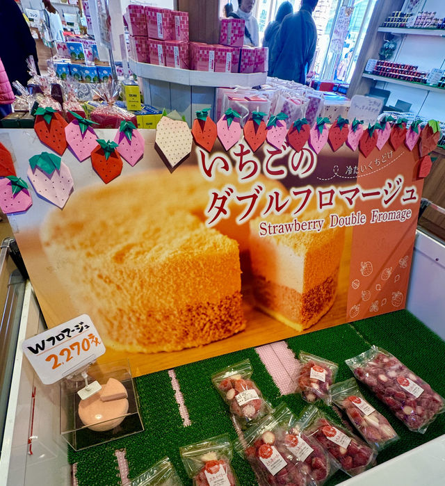 日本の魅力的なイチゴ狩り村