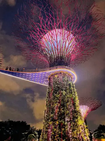 新加坡濱海灣花園|原來夜晚咁靚