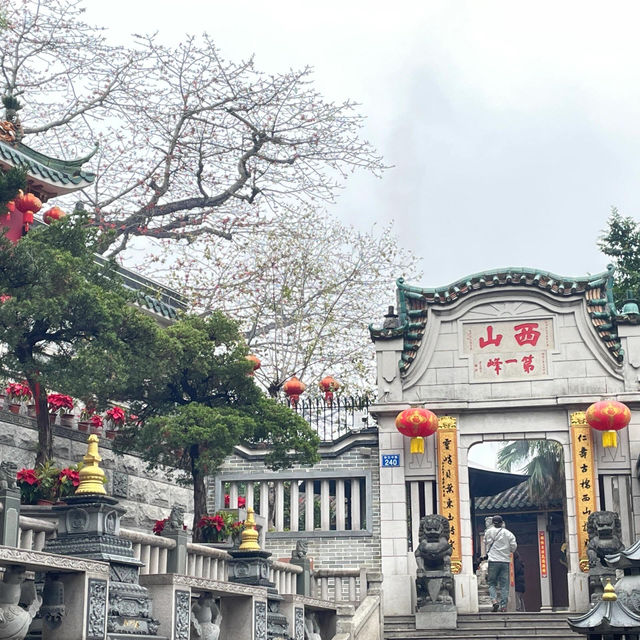 🌆深圳 - 中山一日遊 | 超詳攻略來啦✨