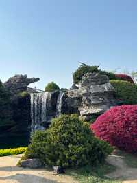 揚州三月旅遊攻略，碼住碼住