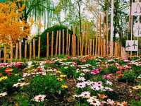 Purple Bamboo Park in Beijing: Pure Tranquility Hideout