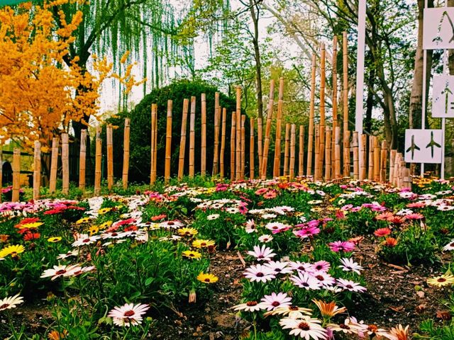 Purple Bamboo Park in Beijing: Pure Tranquility Hideout