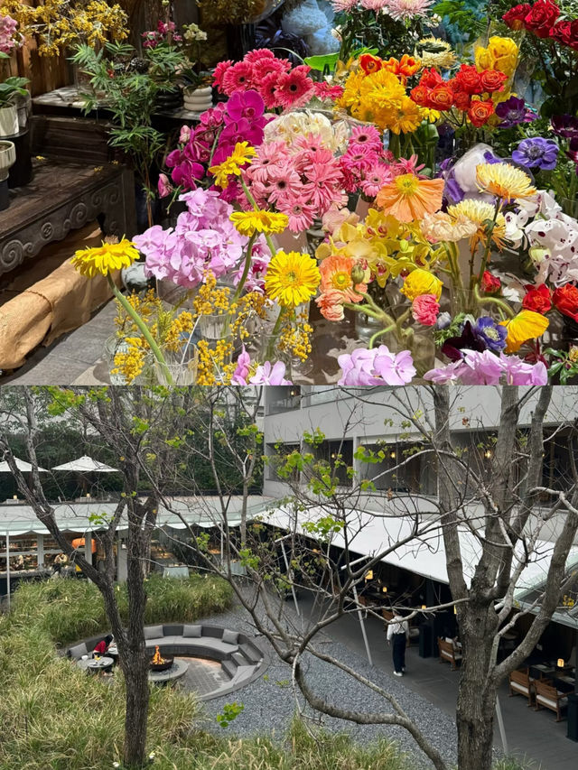 廣州大學生週末Staycation