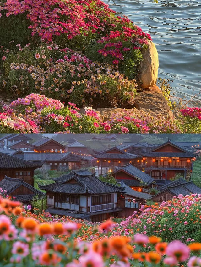 建議唔好去，因為去咗唔想返嚟………