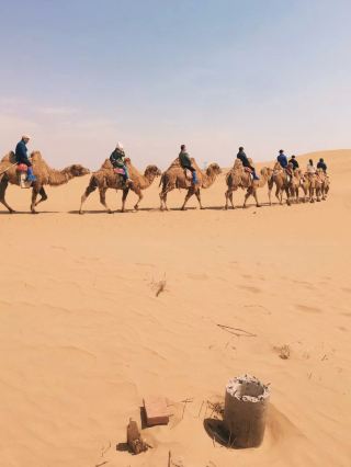 Kubqi Desert: Unlocking the Secrets of the Desert!