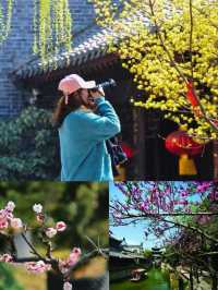 北方竟然有這種地方？台兒莊古城超全攻略❗️