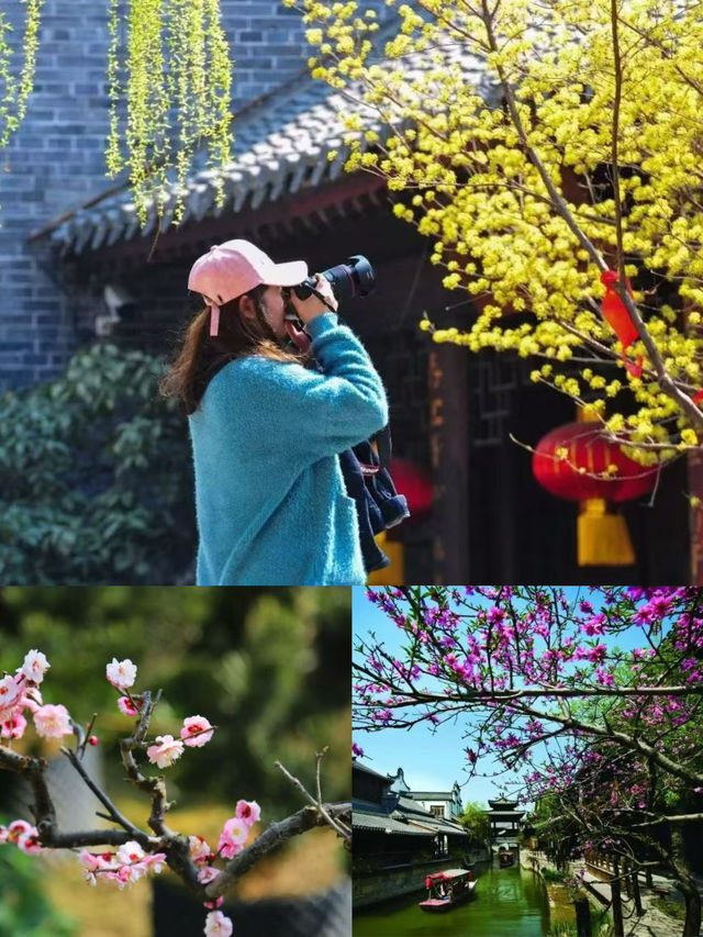 北方竟然有這種地方？台兒莊古城超全攻略❗️