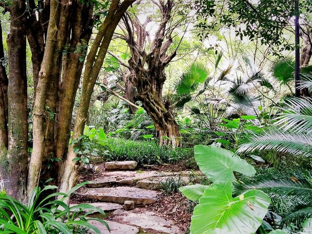 Guilin Botanical Garden: A Verdant Paradise