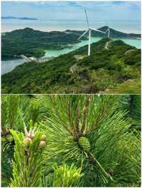 舟山受苦之旅已完，想去嘅姊妹要慎重