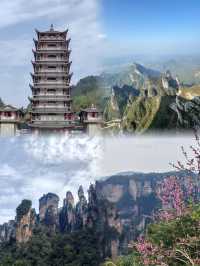 人生建議：去過以下地方才算到過張家界！
