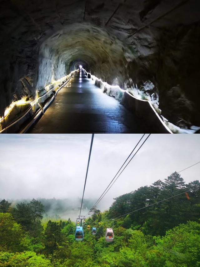 探秘福建金饶山：隱藏在大山深處的絕美風光