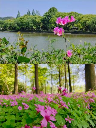 닝보: 지하철로 바로 가는 아름다운 경치와 한적한 휴식 명소