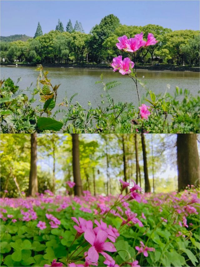 寧波：地鐵直達！景美人少的放風好去處
