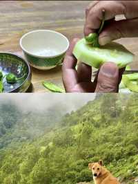 迷人的不丹東部扎西揚子村