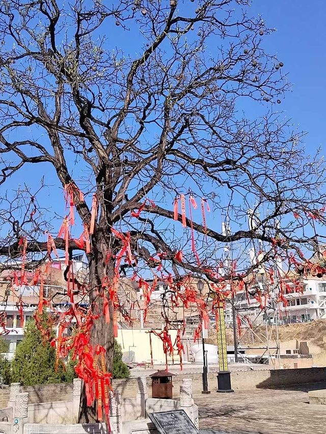 山西呂梁柳林旅遊攻略