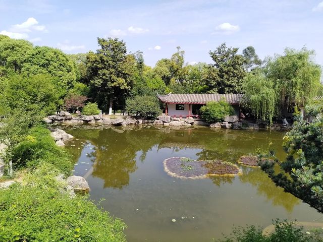 打卡古風園林，感受傳統韻味！