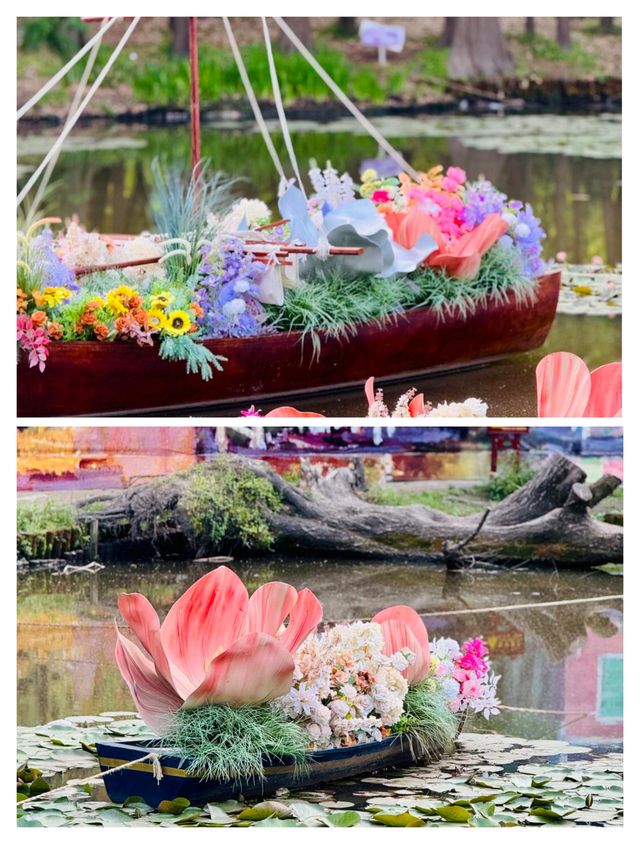 上海人嘅私藏！共青森林公園春天嘅王炸路線，錯過咗要等一年！