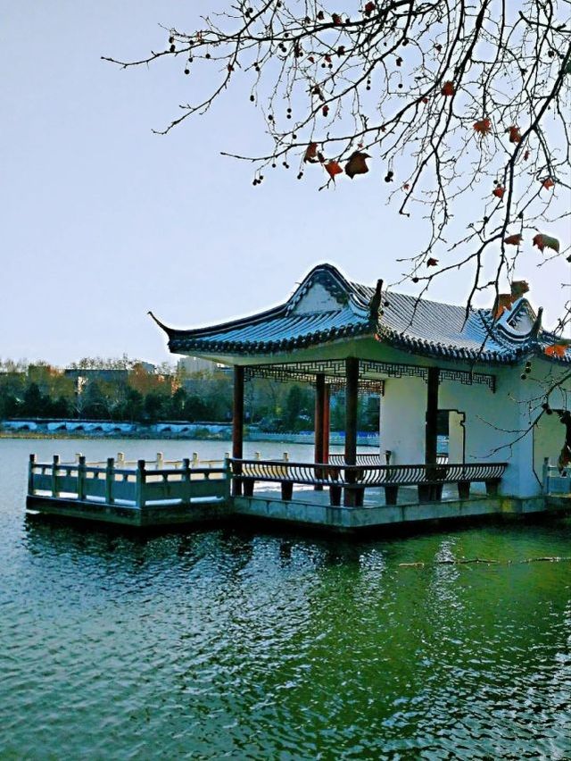 淮南初冬美景如畫色彩斑斕展示生態魅力