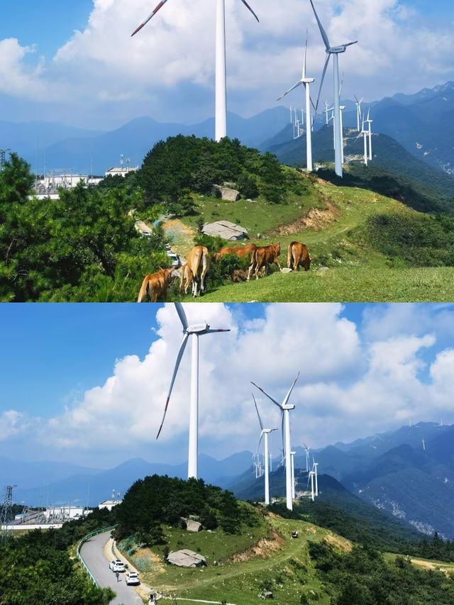 安慶   安心地•慶有成