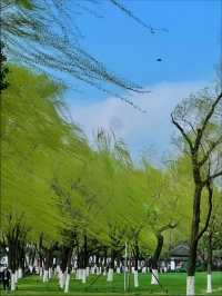 千年曲江池遺址公園遊玩攻略，盛世長安遊