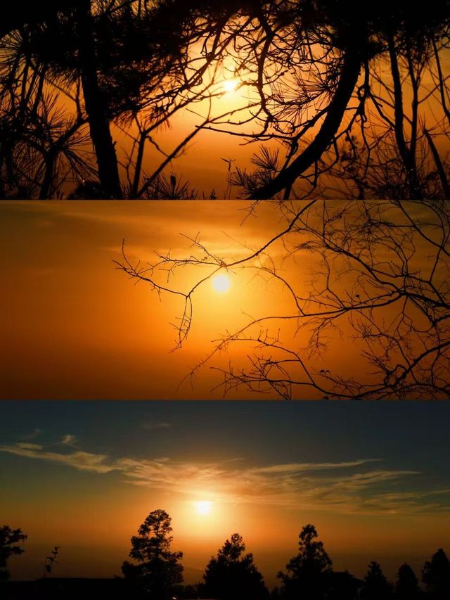 太陽山森林公園