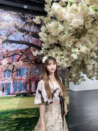 奧黛麗赫本展｜穿越到《羅馬假期》