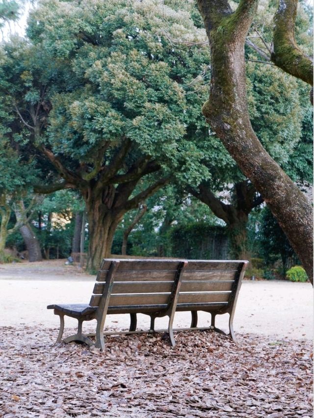 東京都庭園美術館交通攻略：輕鬆抵達藝術與自然的融合之地  
