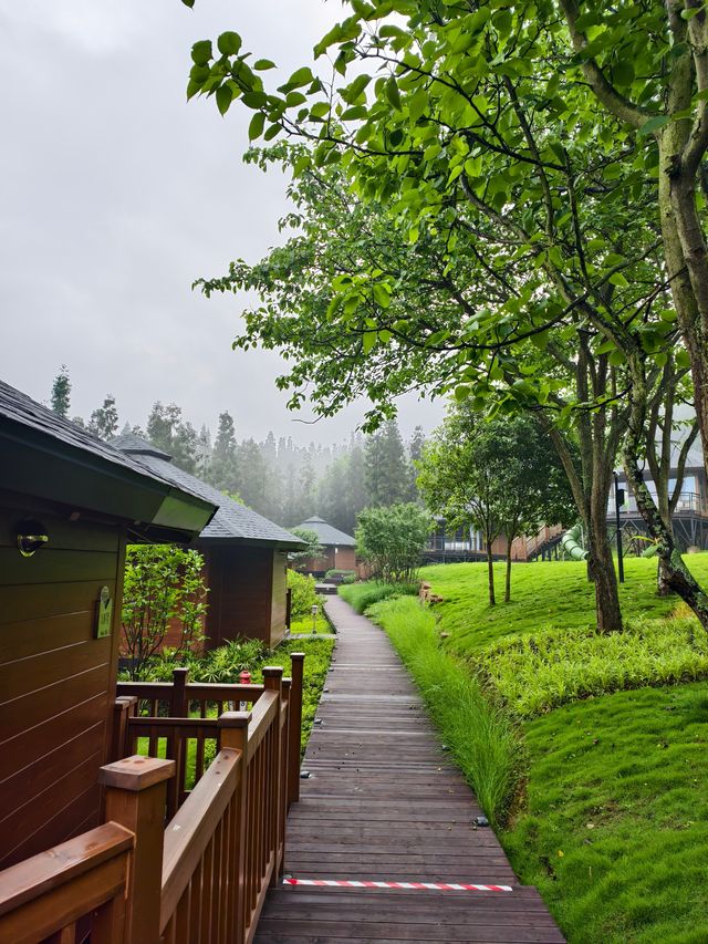 成都2.5小時直達｜住進樂山茶山的綠色夢境，治癒都市焦慮