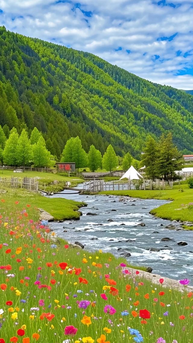 去過川西先會講…