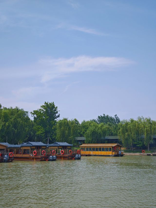 徐州2H｜洪澤湖濕地，係水杉同飛鳥嘅詩