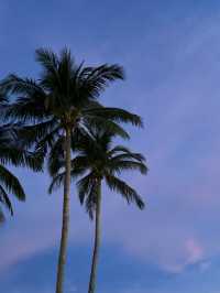 泰國嘅夏天