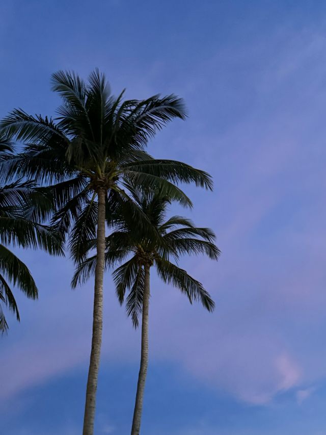 泰國嘅夏天