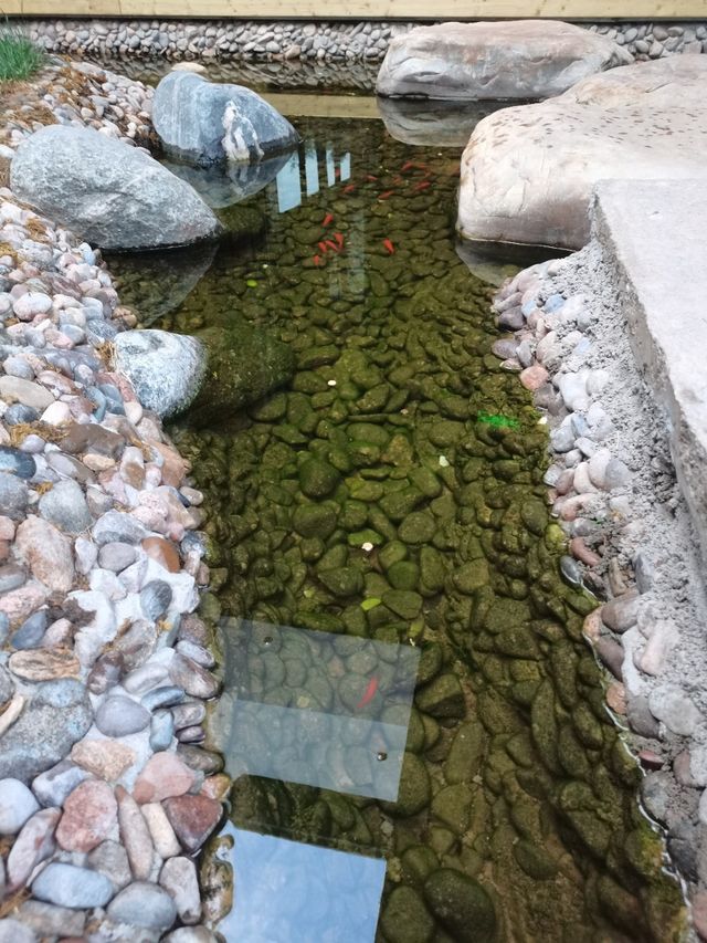 初入長安！城牆腳下嘅24小時沉浸式旅居體驗
