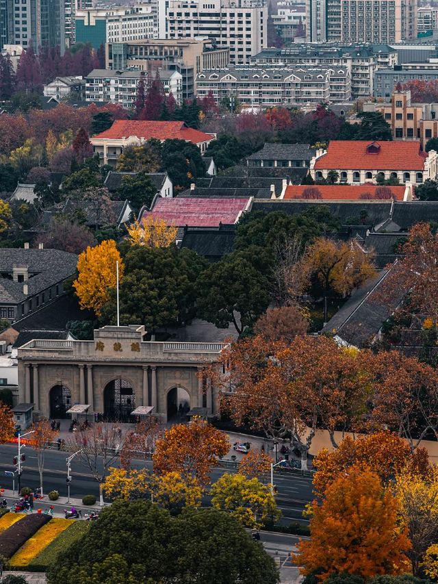 6天暢遊南京等地 超實用攻略來襲