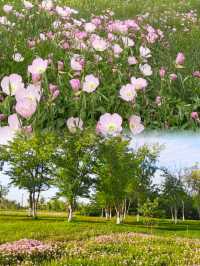 夏日消暑指南：黃昏去濕地公園追一場橘子味日落啦！
