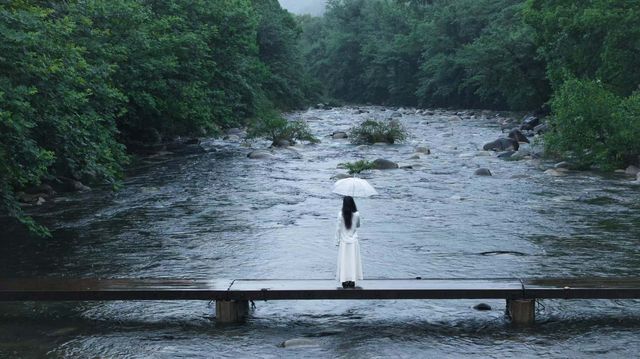 雨落牯牛降｜我花一日時間，聽山野呼吸