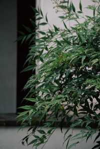 蘇州兩日暴走小眾路線美哭了