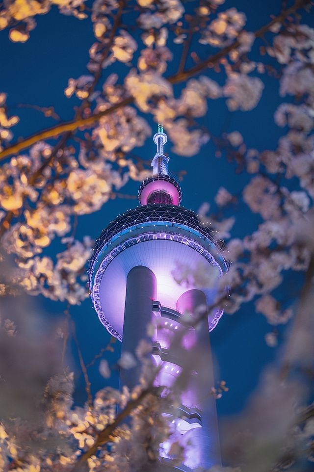 願3-4月去上海嘅朋友都能睇到呢篇