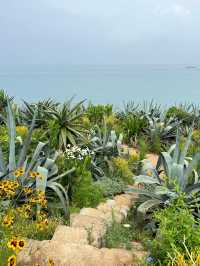 涠洲島最成功的一次春夏懸崖花園
