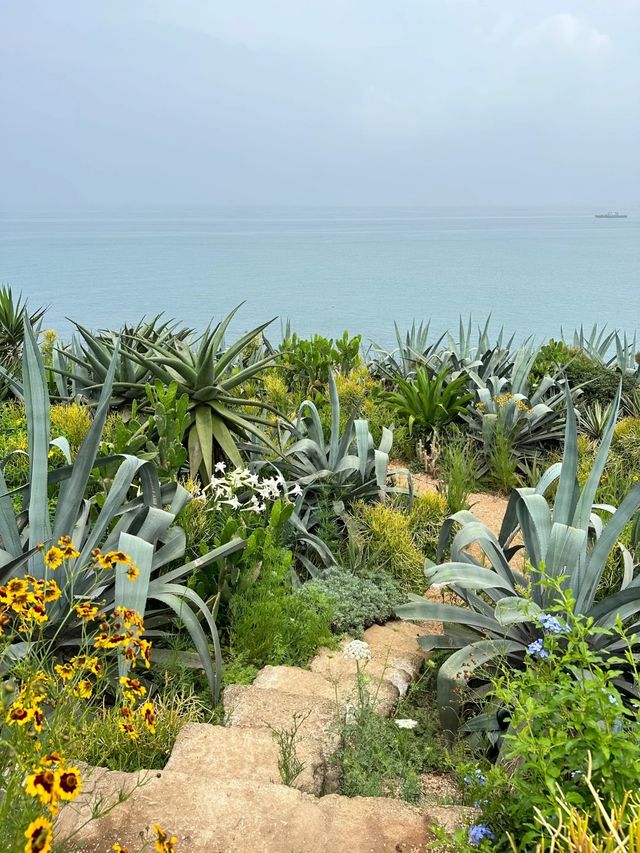 涠洲島最成功的一次春夏懸崖花園