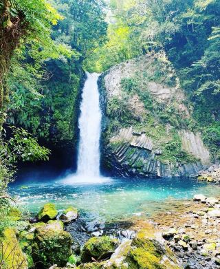 The Ultimate 3-Day 2-Night Shizuoka Travel Guide! Enjoy to the Max for Just ¥1k per Person!