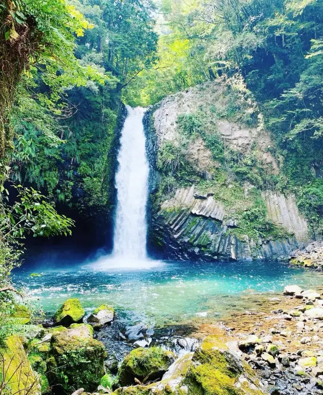 The Ultimate 3-Day 2-Night Shizuoka Travel Guide! Enjoy to the Max for Just ¥1k per Person!