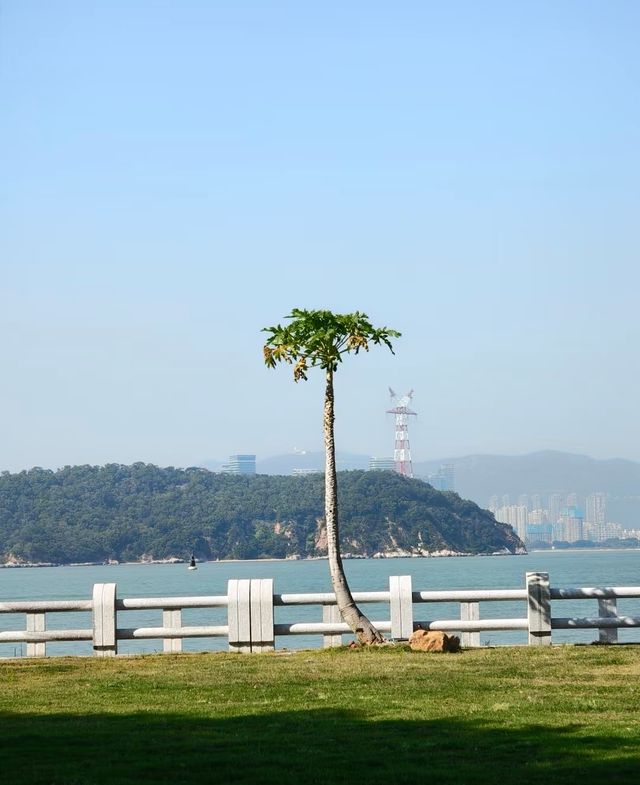 鼓浪嶼之旅，錦江之星品尚酒店嘅溫馨之約
